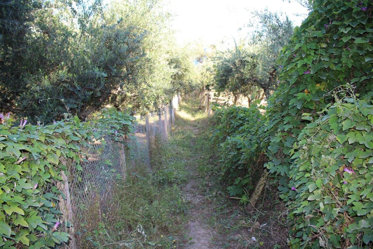 Anastassia Og Koróni Exterior foto